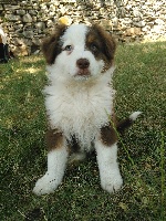 L'BALOO DU PECH DE BOURIANE